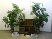 Cabinet & Plants