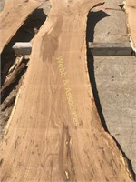 8’ 2 ¼” x 20-36” rustic burr oak live edge