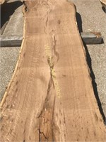 8’ 2 ¼” x 25-40” rustic burr oak with good