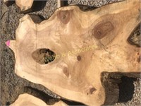 7-8’ 3” x 41” cypress irregular oval sliced on