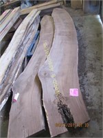 11’ 3”x18” walnut curved slab with live edge