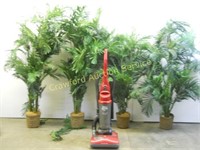 Plants & Vacuum