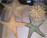 Authentic Marine Life Group. Starfish & Coral