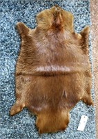 34" beaver tan fur