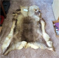 52" Reindeer tanned fur from Norway