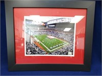 Framed Official NFL Photograph of Reliant Stadium