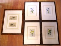 Five framed prints