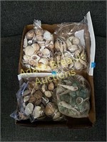 4 bags assorted sea shells