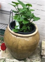 Large brown garden pot with plant