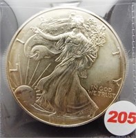 1996 American Silver Eagle. Key date.