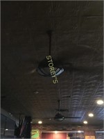 Ceiling Fan w/ Light