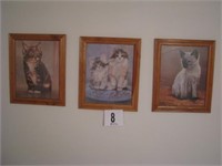 3 cat pictures