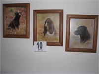 3 dog pictures