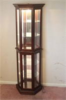 Wood Lighted Curio Cabinet