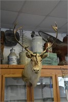 Caribou Mount