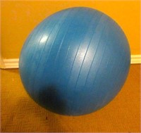 Bally Total Fitness Exercise Ball