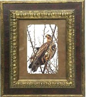 Framed Bird of Prey Photograph