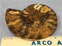Choice on2 (100-101) Fabulous ammonite fossil, app