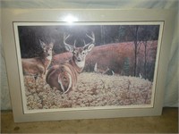 1986 Jack Paluh Signed Deer Print"Whitetail Watch"