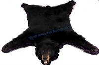 Montana Black Bear Rug Mount