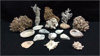 Assortment of Oceanic Coral and Shells - 9B