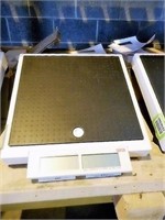 Personal weigh scale