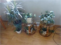 Lot of 6 house plants and 2 stands