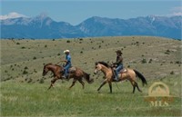 20 Acres Gallatin River Ranch