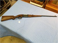 Savage Model 99