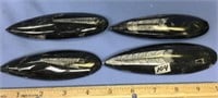 Lot of 4 approximately 5" Orthoceras fossil spec