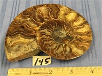 Fabulous ammonite fossil, 5"      (2)