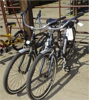 2 Shorewood Bicycles
