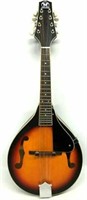 Hondo Sunburst Mandolin w/ Case & Spare Strings