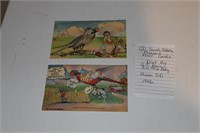 1946 Huron, SD Pheasant Postcards