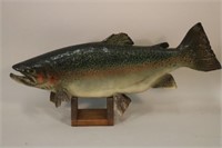 24" Steelhead