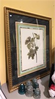 Large framed print of a grape and vine and six