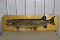 Muskie Mount, 48" Long, Plaque is 54" Long and