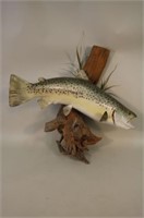27" Lake Trout on Driftwood