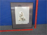 signed "baby polar bear" litho by guy coheleach