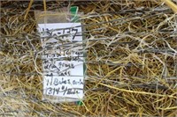 Hay-Grass/2nd-Rounds-11 Bales