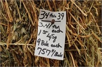 Hay-Lg. Squares-1st-9 Bales