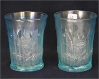 Oriental Poppy tumblers (2) - ice blue