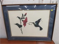 FRAMED HUMMING BIRD PRINT SIGNED AND NUMBERED