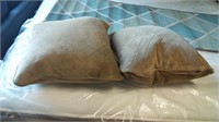 Tan Accent Pillows