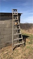Aluminum Orchard Ladder