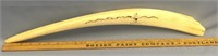 Scrimshawed 22.5" White walrus ivory tusk with hun