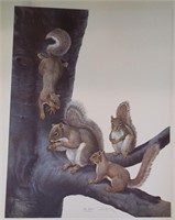 Ray Harm Print, Gray Squirrel