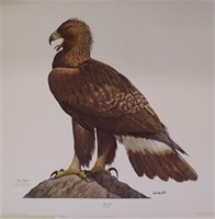 Ray Harm Print, Golden Eagle