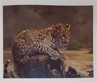 Charles Frace Print, Leopard Cub
