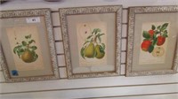 Set of 3 Fruit Art~ German